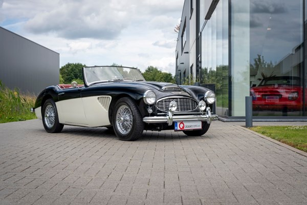 Austin Healey 100/6