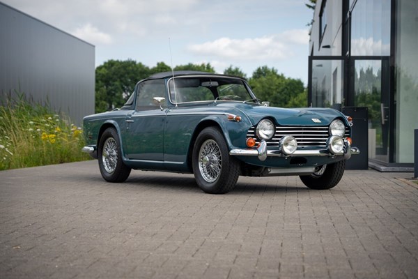 Triumph  TR250
